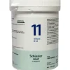 Pfluger Schussler Zout nr 11 Silicea D12 1000 tabletten