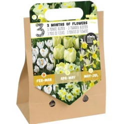 Pick-Up Tas Bloembollen 3 Months of Flowers Lemon 33 stuks