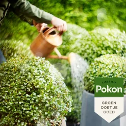 Pokon Bio Buxus & Ilex Voeding 500 ml