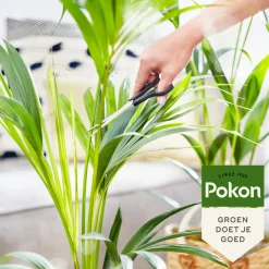 Pokon Bio Palm Voeding 250 ml
