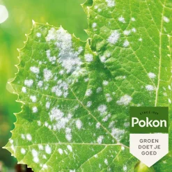 Pokon Bio tegen Schimmels Spray 800 ml