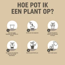 Pokon Bio Turfvrij Kamerplanten Potgrond 10 liter