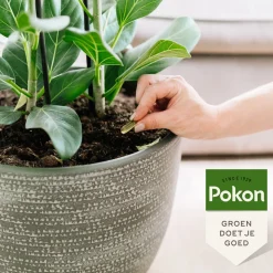 Pokon Biologische Kuur Voor Weerbare en Gezonde Planten Capsules 12 stuks