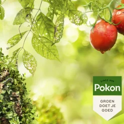 Pokon Biologische Kuur Voor Weerbare en Gezonde Planten Concentraat 500 ml