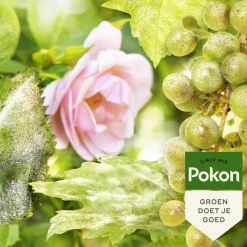 Pokon Biologische Kuur voor Weerbare en Gezonde Rozen Spray 750 ml