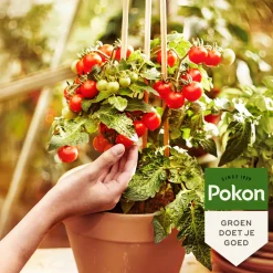 Pokon Biologische Mest Moestuin 1 kg