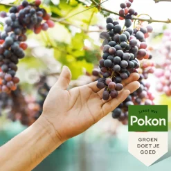 Pokon Druiven Mest 1 kg