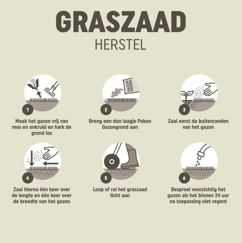 Pokon Graszaad Herstel 2 kg