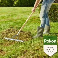 Pokon Graszaad Herstel 2 kg