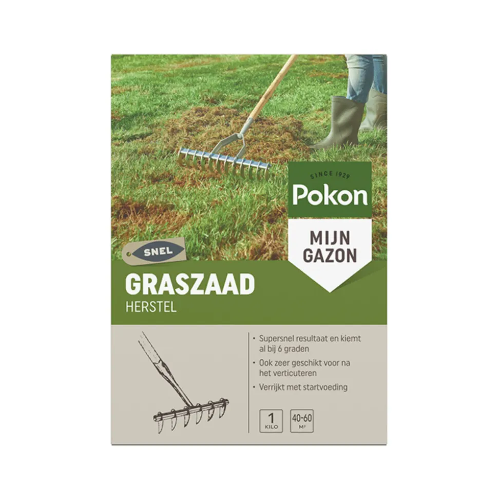 Pokon Graszaad Herstel 1 kg
