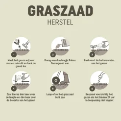 Pokon Graszaad Herstel 1 kg