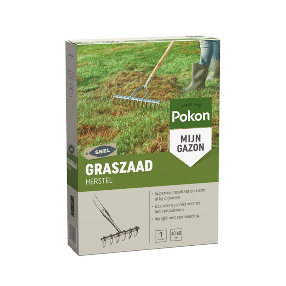 Pokon Graszaad Herstel 1 kg