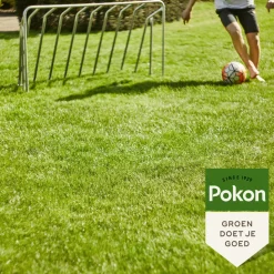Pokon Graszaad Inzaai 1 kg