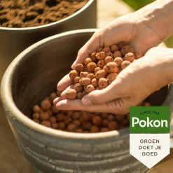 Pokon Hydrokorrels 10 liter