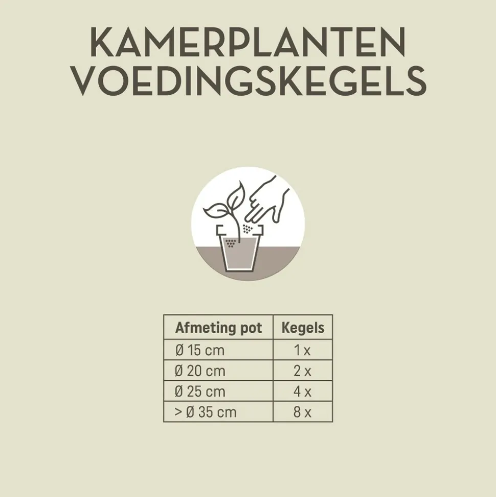 Pokon Kamerplanten Voedingskegels 10 stuks