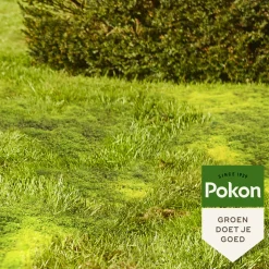 Pokon Mos Weg 5,25 kg voor 150 m²