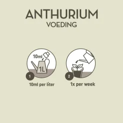 Pokon Planten Voeding Anthurium 500 ml