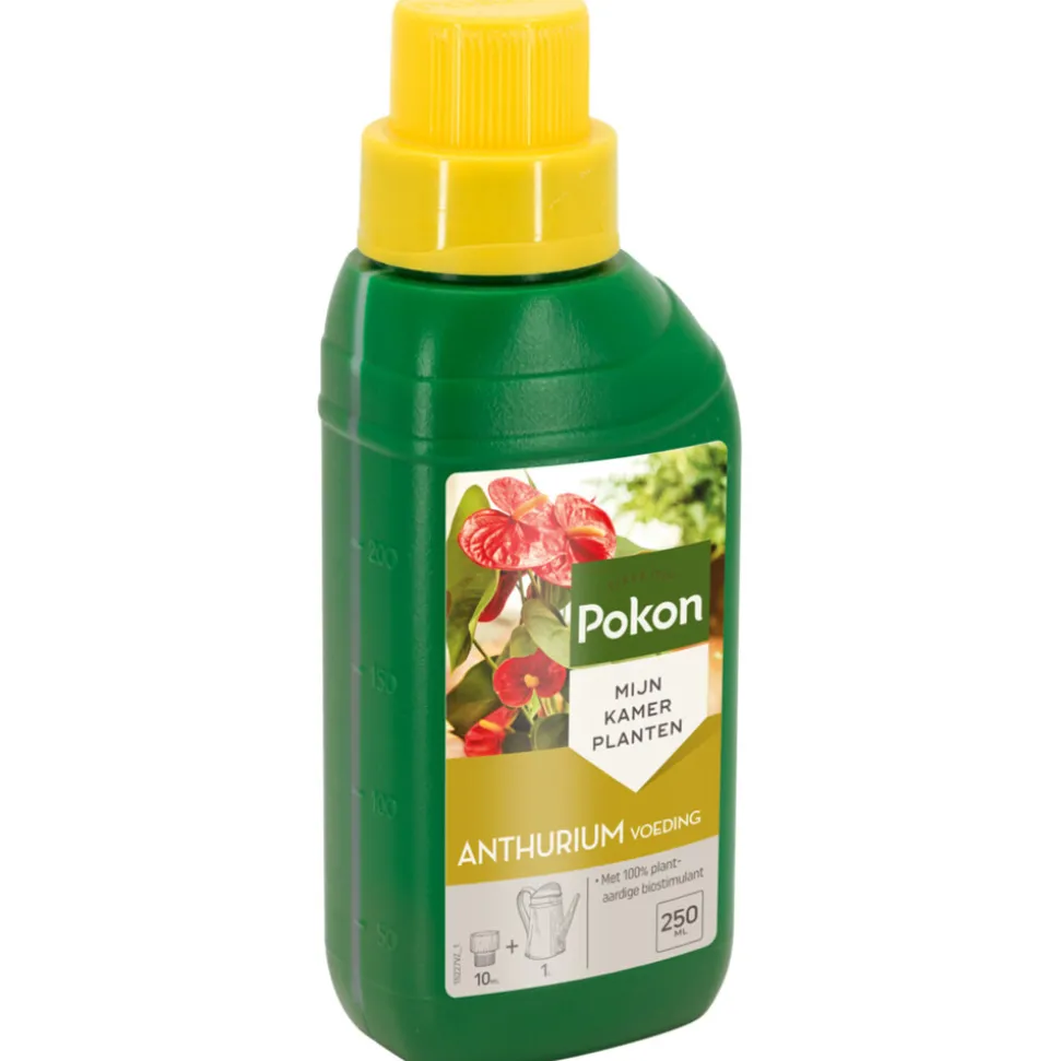 Pokon Planten Voeding Anthurium 500 ml
