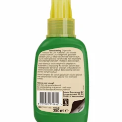 Pokon Planten Voeding Cactus en Vetplant 250 ml