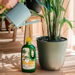 Pokon Plantenvoeding Kamerplanten 1 liter