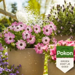 Pokon Plantenvoeding Terras & Balkon 1 liter