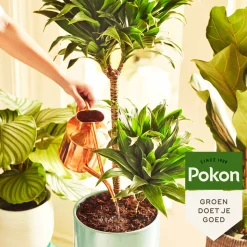 Pokon Potgrond Kamerplanten 20 liter