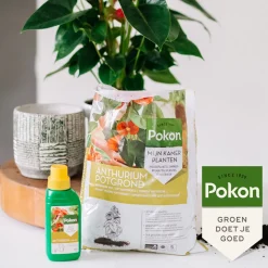 Pokon RHP Anthurium Potgrond Anthurium 5 liter