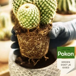 Pokon RHP Potgrond Cactus 5 liter