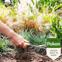 Pokon Siergrassen & Bamboe Mest 1 kg