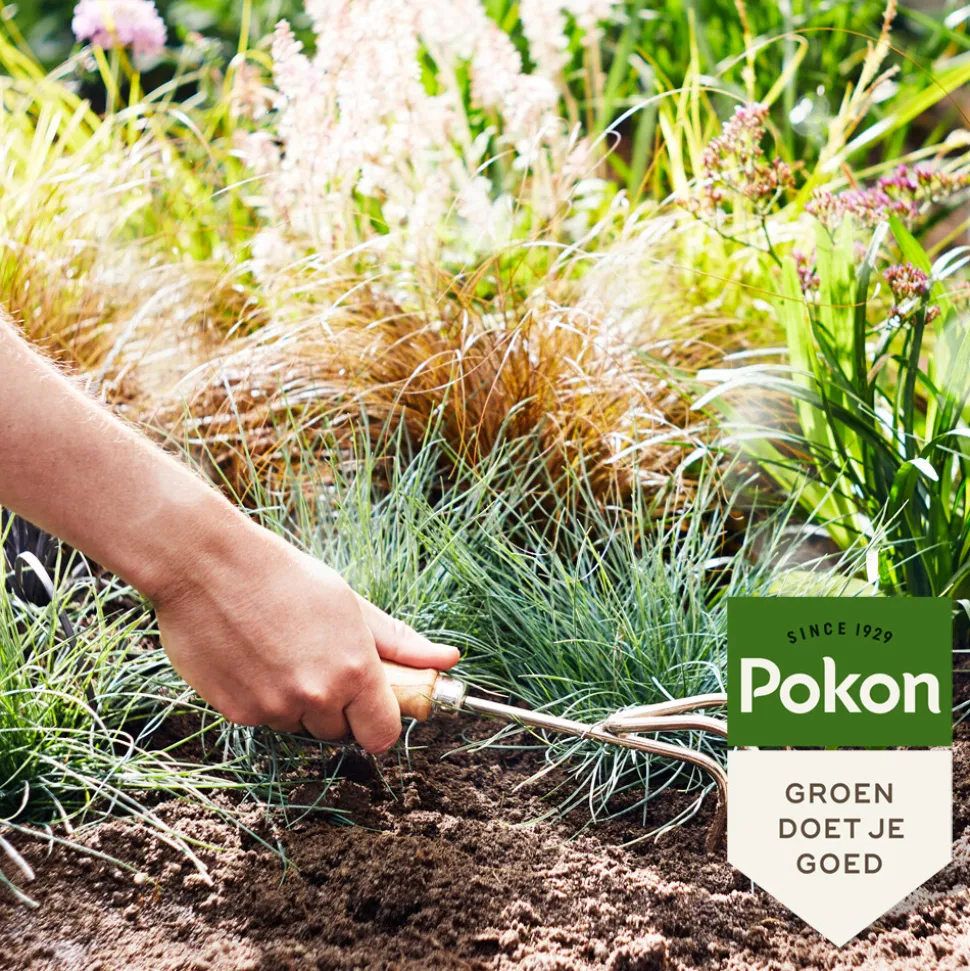 Pokon Siergrassen & Bamboe Mest 1 kg