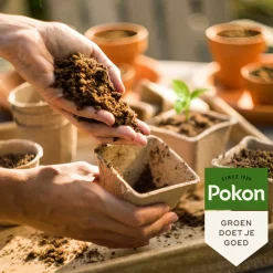 Pokon Stekpoeder 25 gr