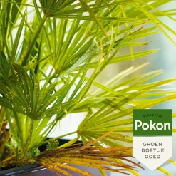 Pokon Tegen Hardnekkige Insecten 'Polysect Spray' Biologisch 800 ml