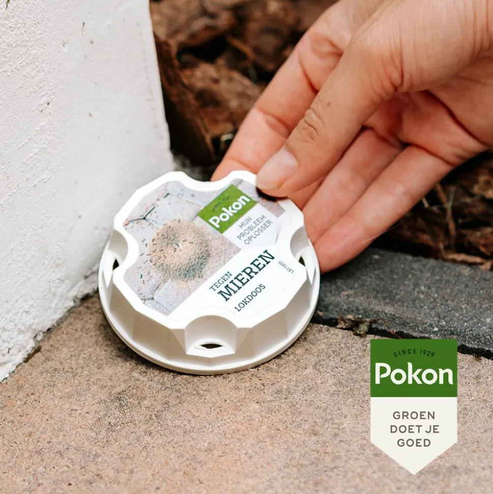 Pokon Tegen Mieren Lokdoos 2 stuks