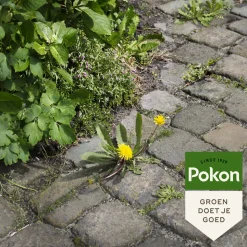 Pokon Tegen Onkruid Spray 1 liter