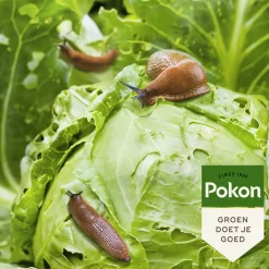 Pokon Tegen Slakken Korrels Biologisch 450 gr