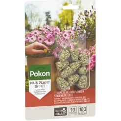 Pokon Terras & Balkon Planten Voedingskegels 10 stuks