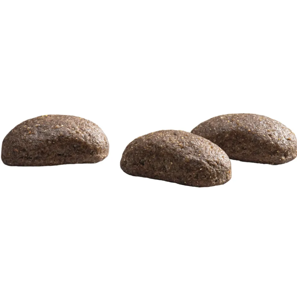 Prins Protection Croque Hypoallergeen Lam Hondenvoer 2 kg