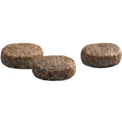 Prins Protection Croque Junior Performance Hondenvoer 2 kg