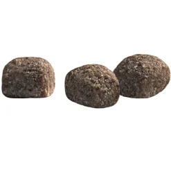 Prins Protection Croque Mini Super Performance Hondenvoer 10 kg