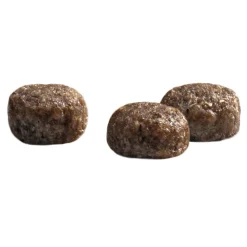 Prins Protection Croque Mini Junior Performance Hondenvoer 2 kg