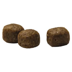 Prins VitalCare Adult Maxi Kattenvoer 1,5 kg