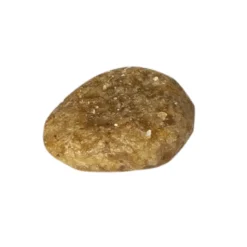 Prins VitalCare Veterinary Diet Renal Support Kattenvoer 1,5 kg