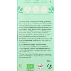 Pukka Thee Three Mint 20 stuks