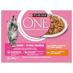 Purina ONE Junior Kattenvoer Nat Kip & Zalm 8 x 85 gr