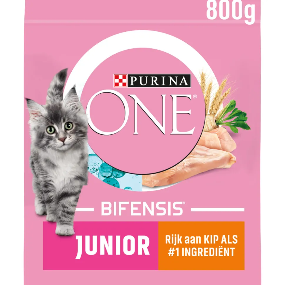 Purina ONE Junior Kip 800 gr
