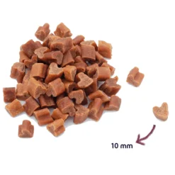 Renske Gezonde Beloning Mini Hartjes Hondensnack Zalm 300 gr