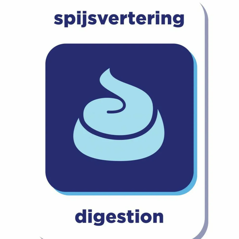 Renske Super Premium Adult Kattenvoer Kip 1,5 kg