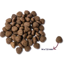 Renske Super Premium Graanvrij Adult Hondenvoer Zalm 2 kg