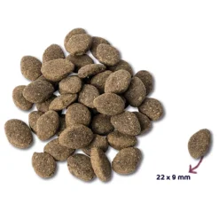 Renske Super Premium Graanvrij Adult Hondenvoer Lam 12 kg