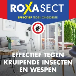 Roxasect Spuitbus tegen Kruipende Insecten en Wespen 400 ml